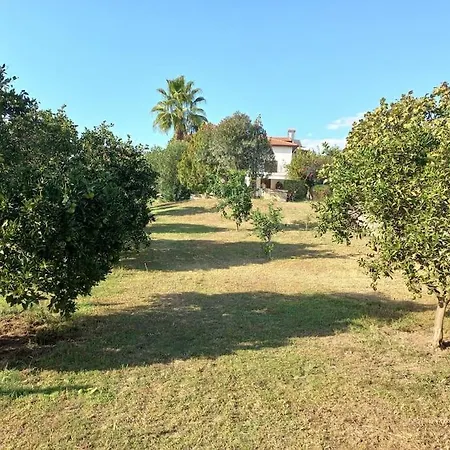 4 Yatak Odali Harika Muestakil 别墅 *